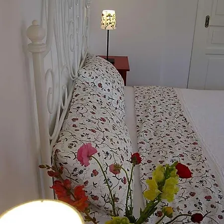 Magnolia Bed & Breakfast