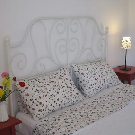 Magnolia Citta Sant'Angelo