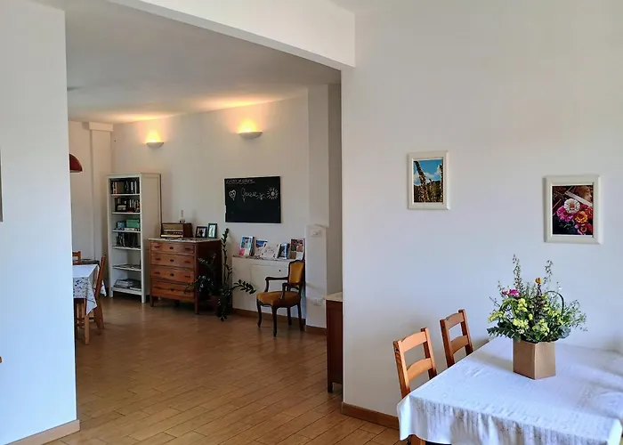 Magnolia Città Sant'Angelo