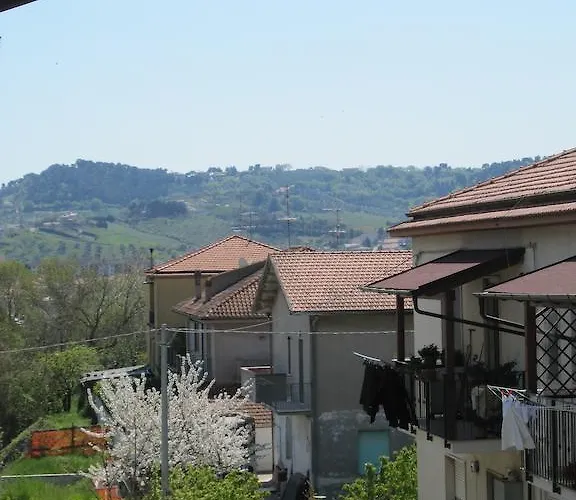 Magnolia Città Sant'Angelo